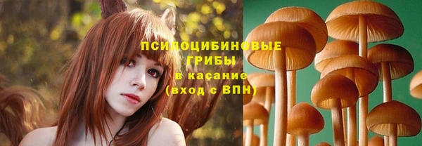 марки nbome Беломорск