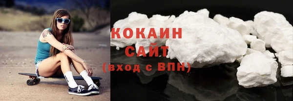 сатива Белокуриха