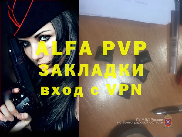 сатива Белокуриха