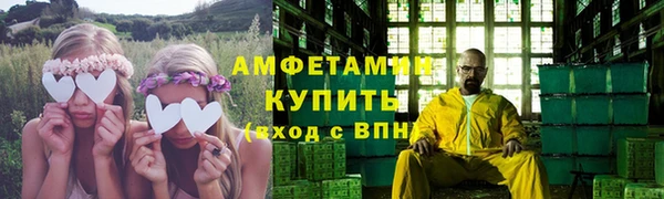 сатива Белокуриха