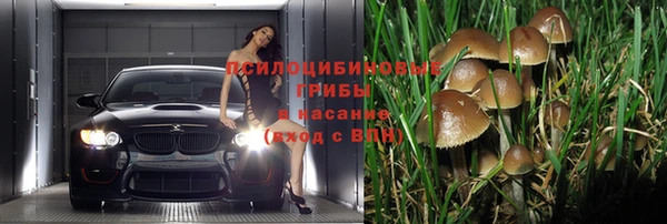 марки nbome Беломорск